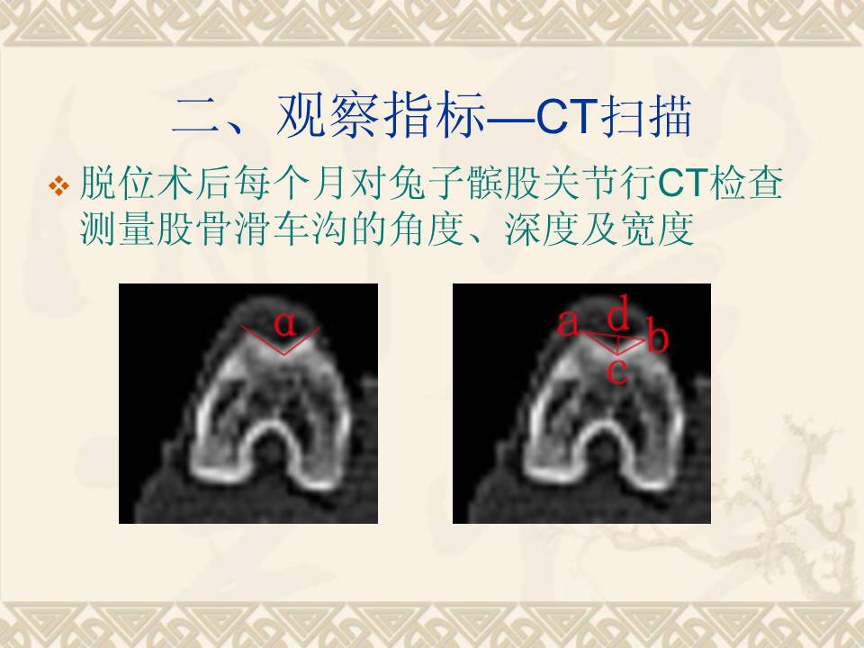 髌骨脱位及早期复位对股骨滑车发育的影响-动物实验研究