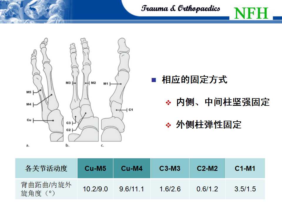 治疗原理是什么意思_根管治疗是什么意思