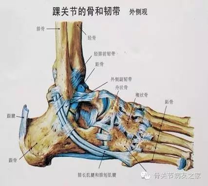 脚脖子踝关节肿痛的治疗