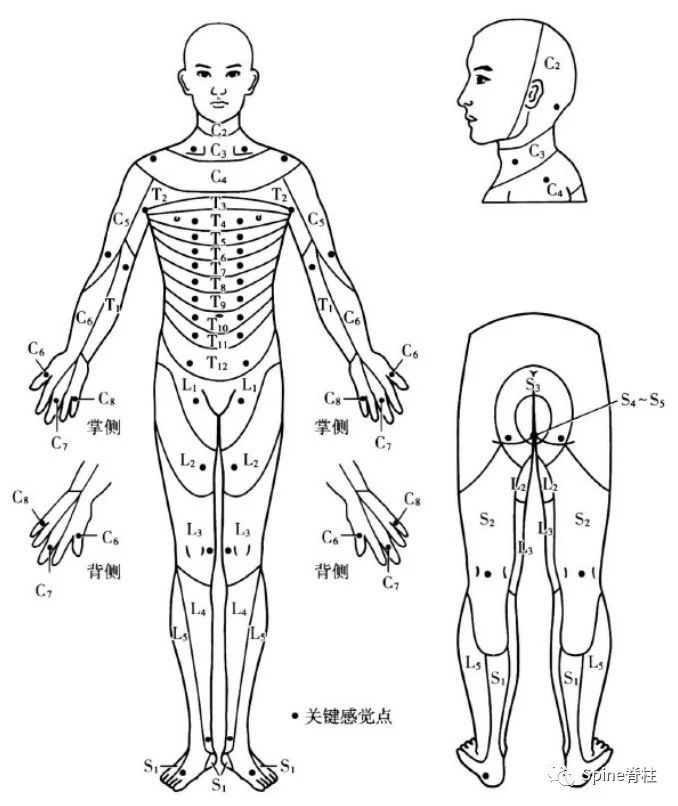 脊髓损伤患者如何评价?