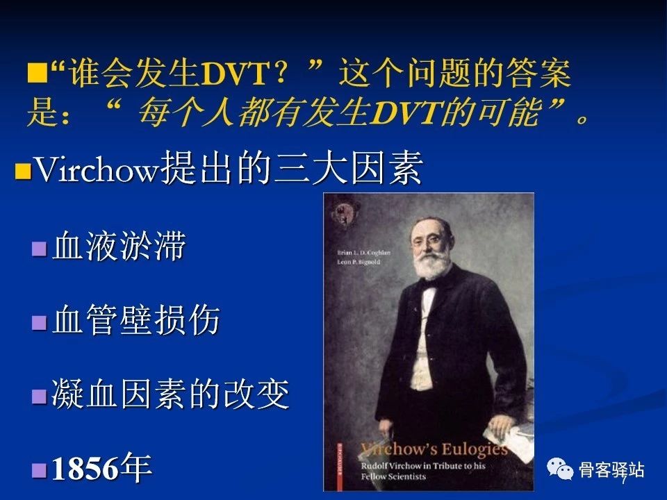 维柯氏三角理论的解析