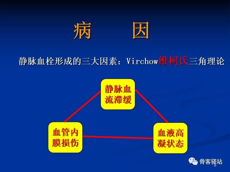 维柯氏三角理论的解析