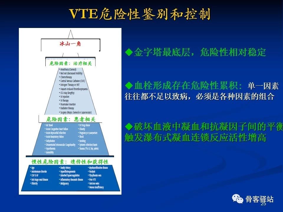 维柯氏三角理论的解析