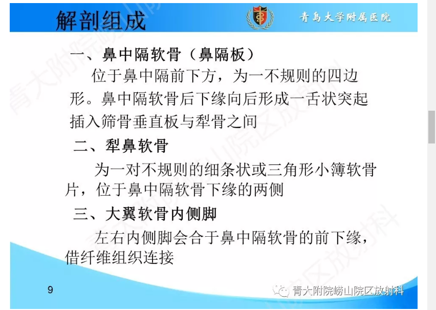 鼻中隔解剖及发育变异