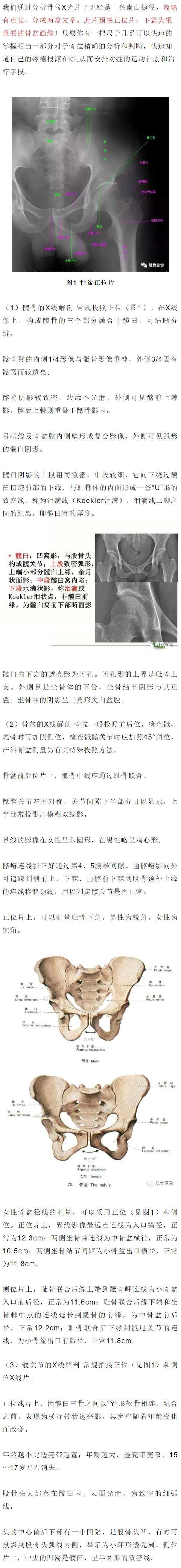 看懂骨盆x线正位片全面详解上