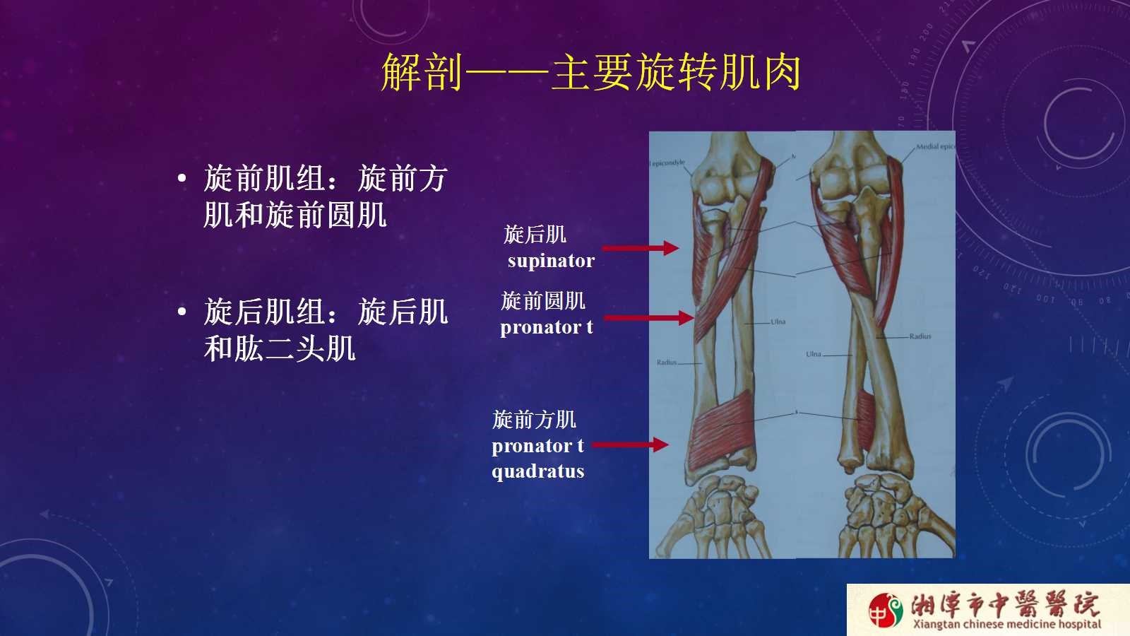杨氏旋后牵引法治疗尺桡骨中段双骨折